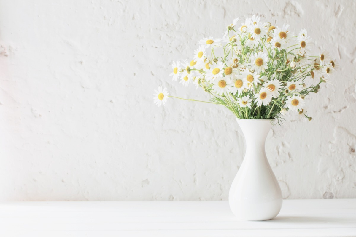 bouquet of daisies 