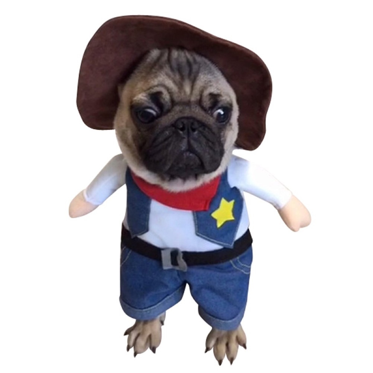 dog cowboy costume, dog halloween costumes