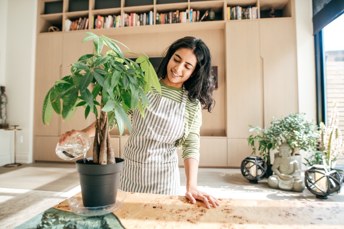 Girl watering money tree