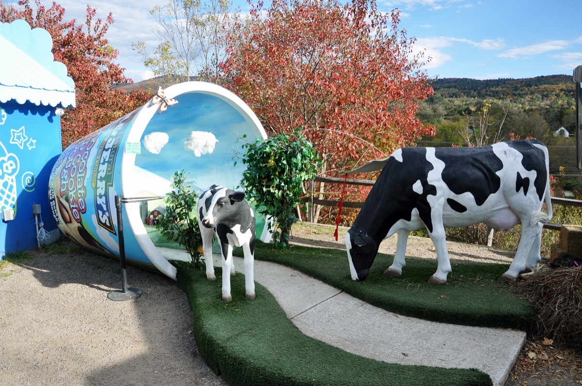 ben and jerry's museum in waterbury vermont