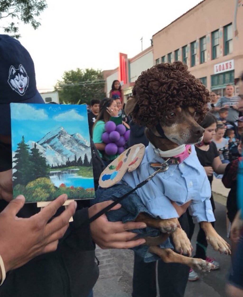 dog dressed as bob ross