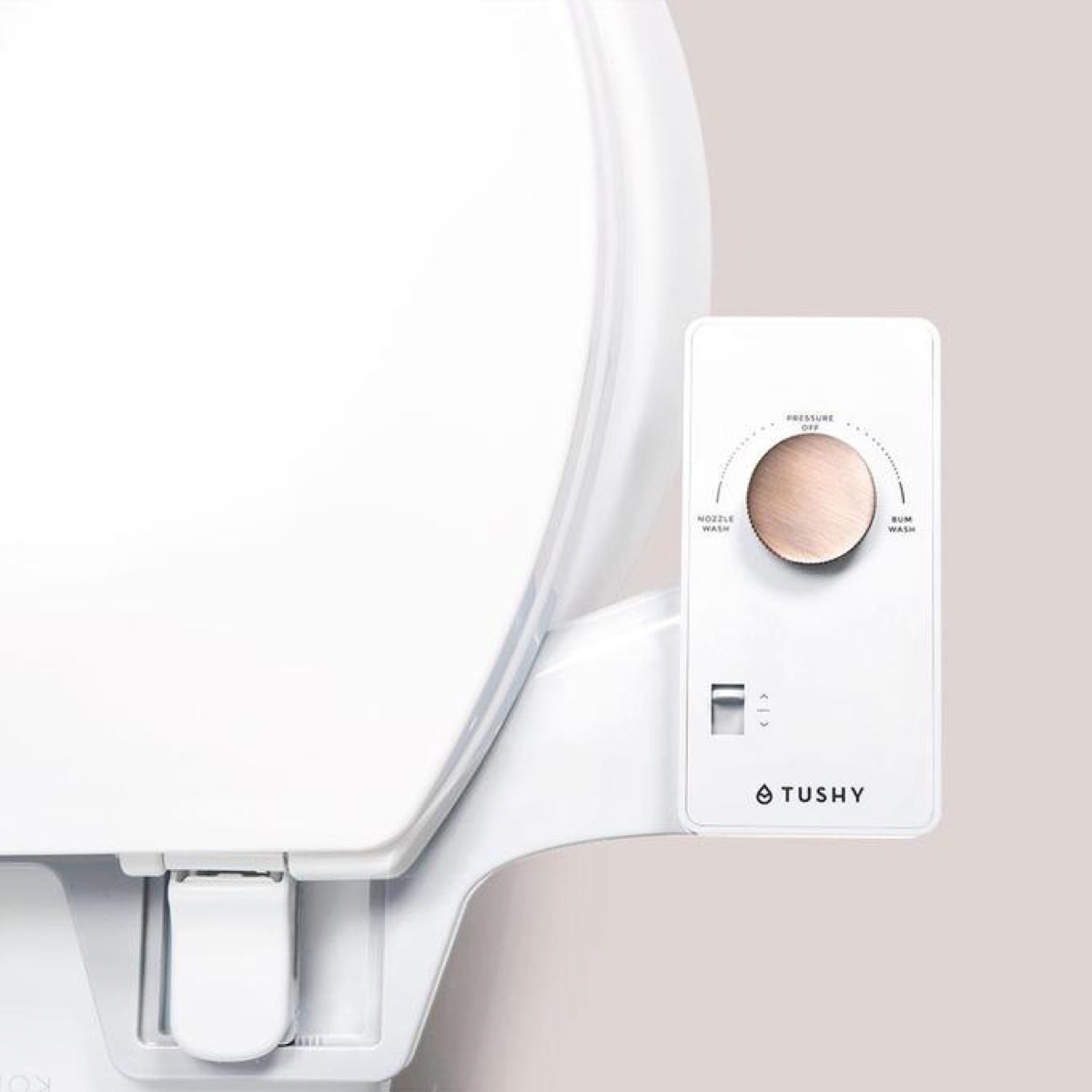 bidet controller on toilet