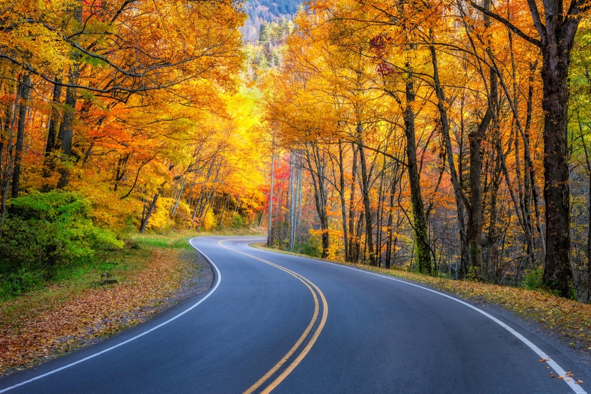 curvy roadway great smoky mountains national park