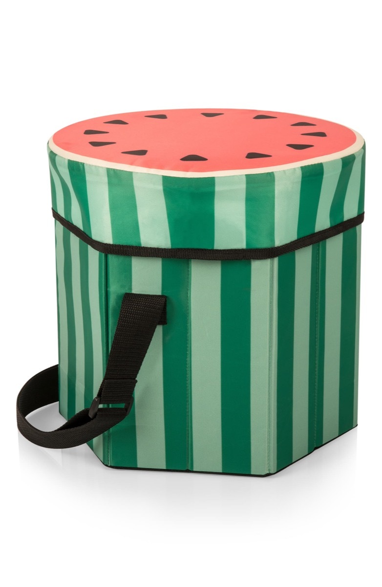 watermelon picnic basket, picnic essentials