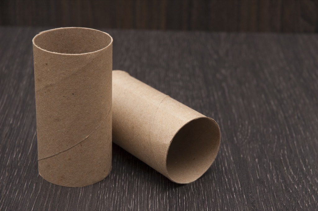 Toilet paper tube