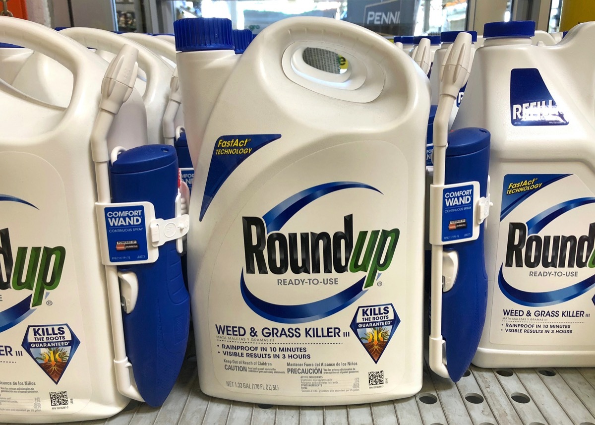 Garden supply store shelf with containers of RoundUp weed killer