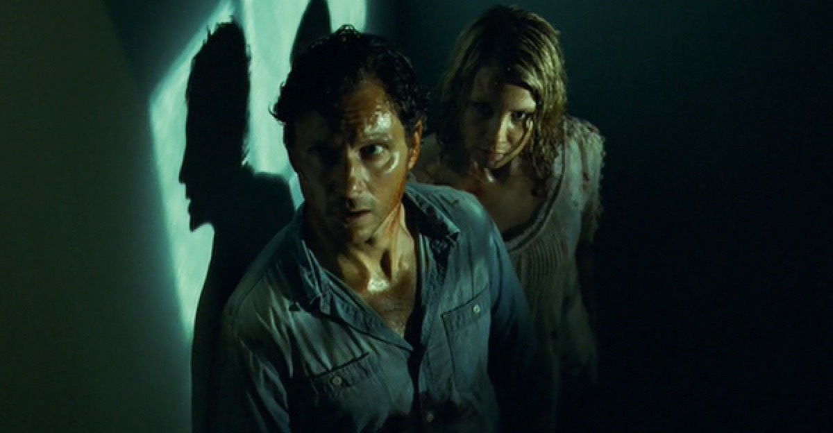 still from the 2009 the last house on the left