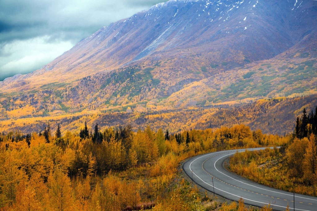 40 roads everyone should drive