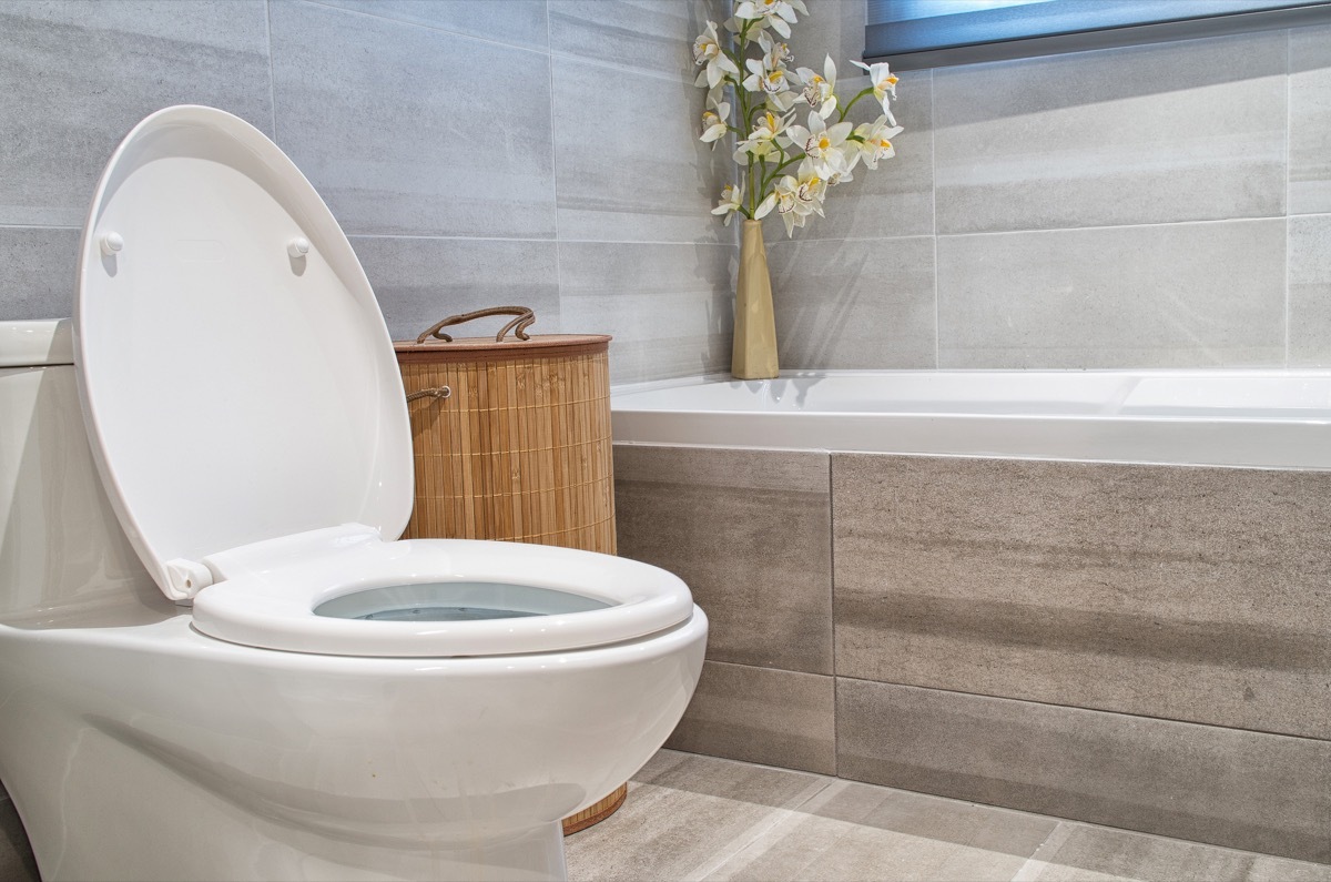 a fancy toilet in a fancy luxury bathroom