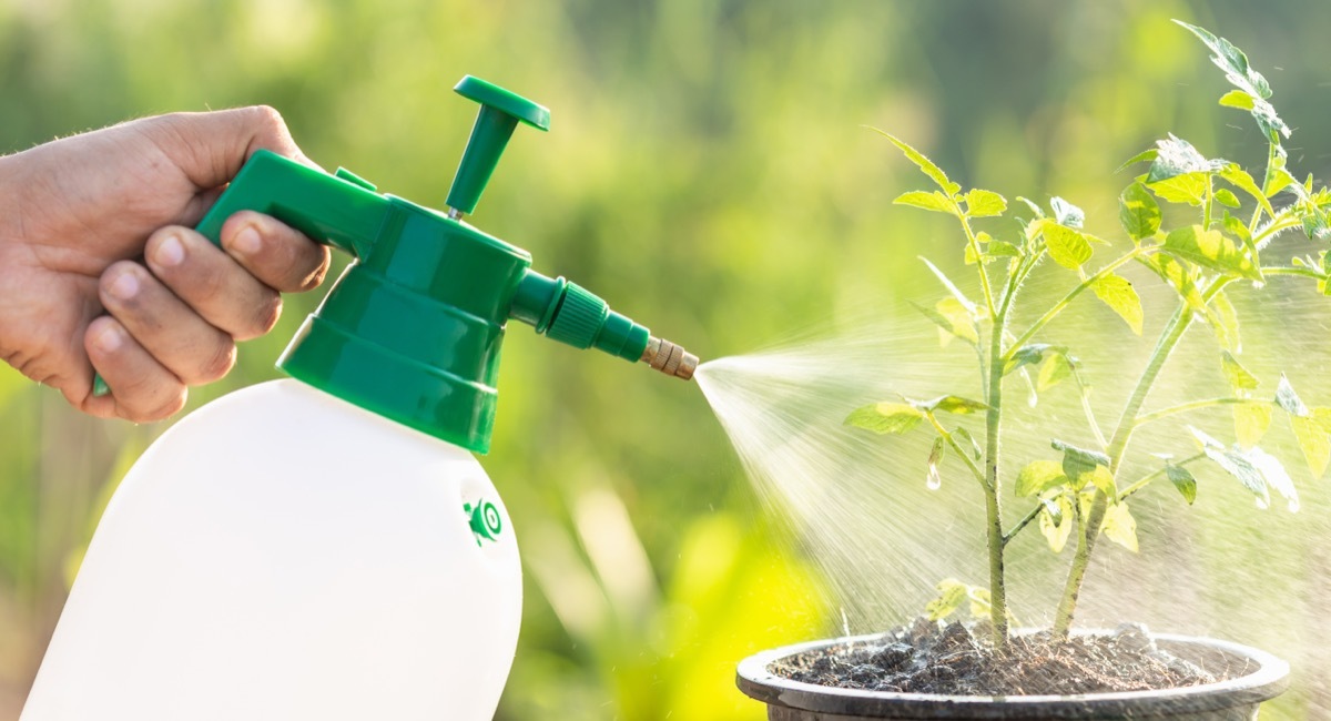 Water Spray Bottle in Garden