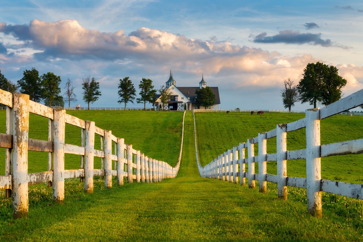 farm house in kentucky, grass