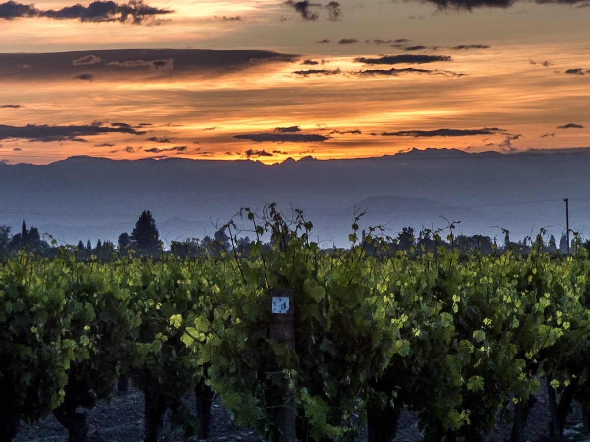 landscape photo of Kingsburg, California, which is a town near Selma, CA