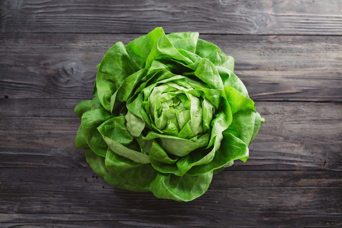 Head of lettuce