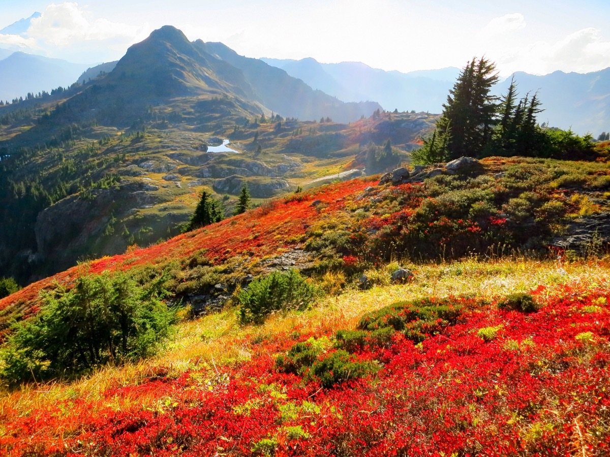 North Cascades National Park