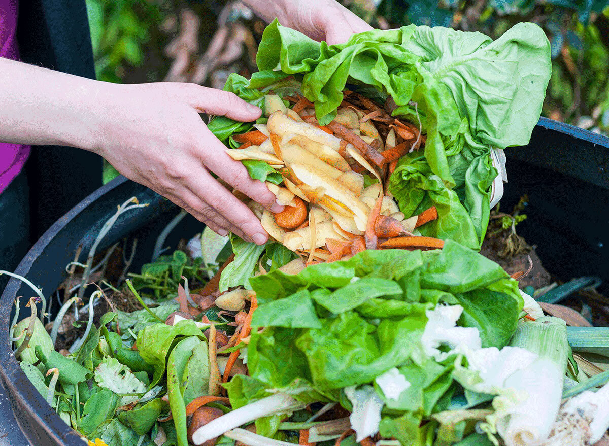 composting kitchen waste