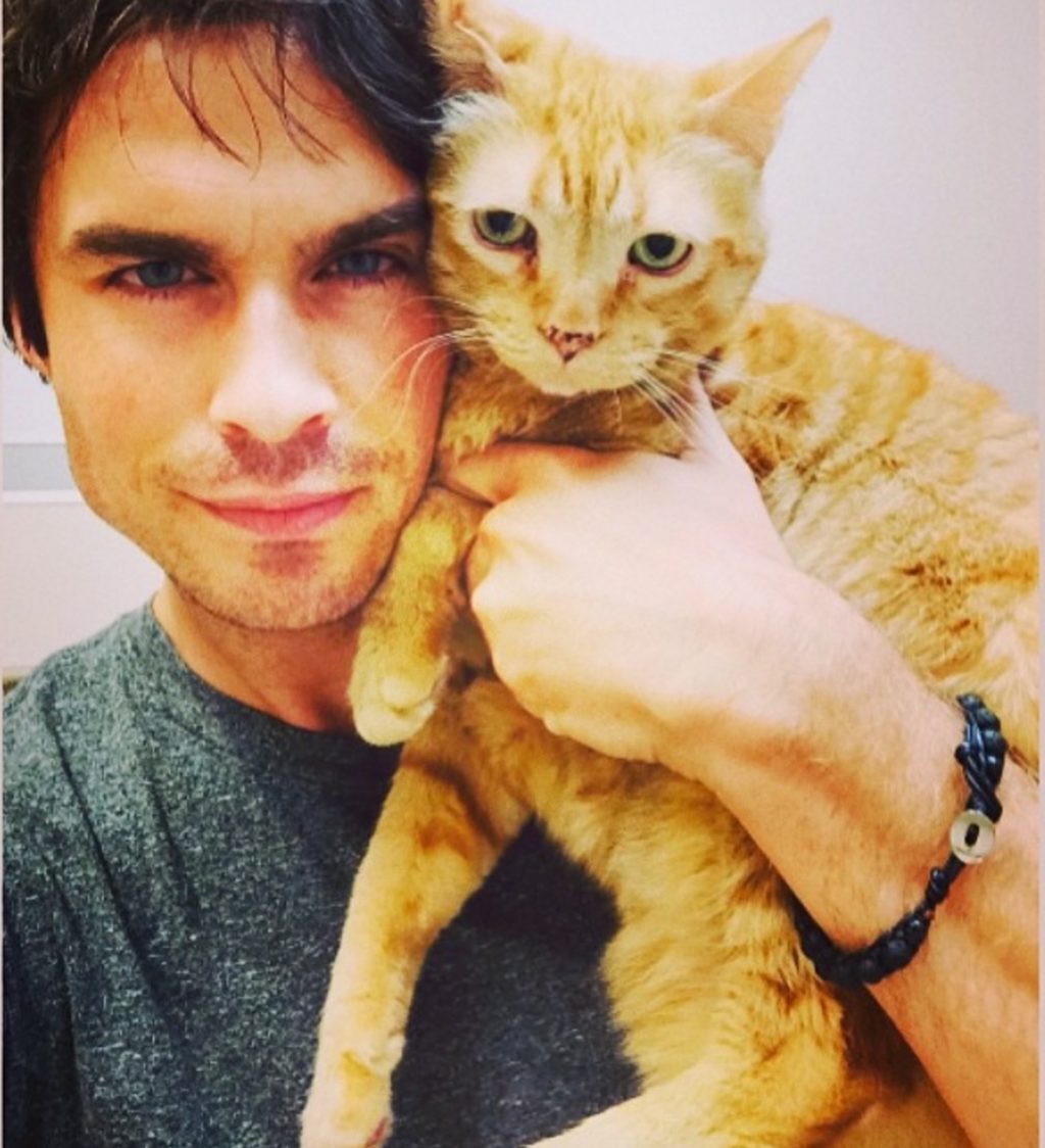 Ian Somerhalder celebrities who look like their pets