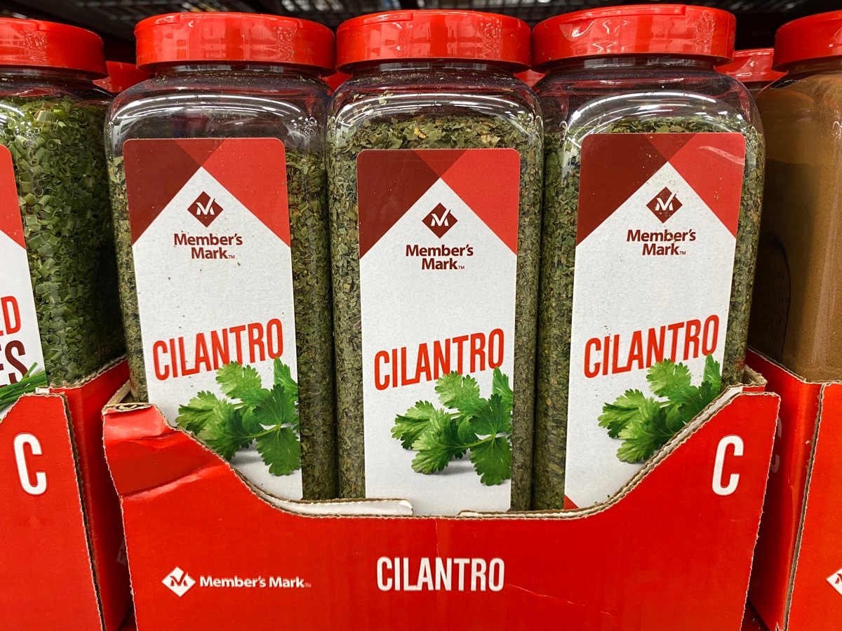 Sam's Club Member's Mark cilantro spice jars