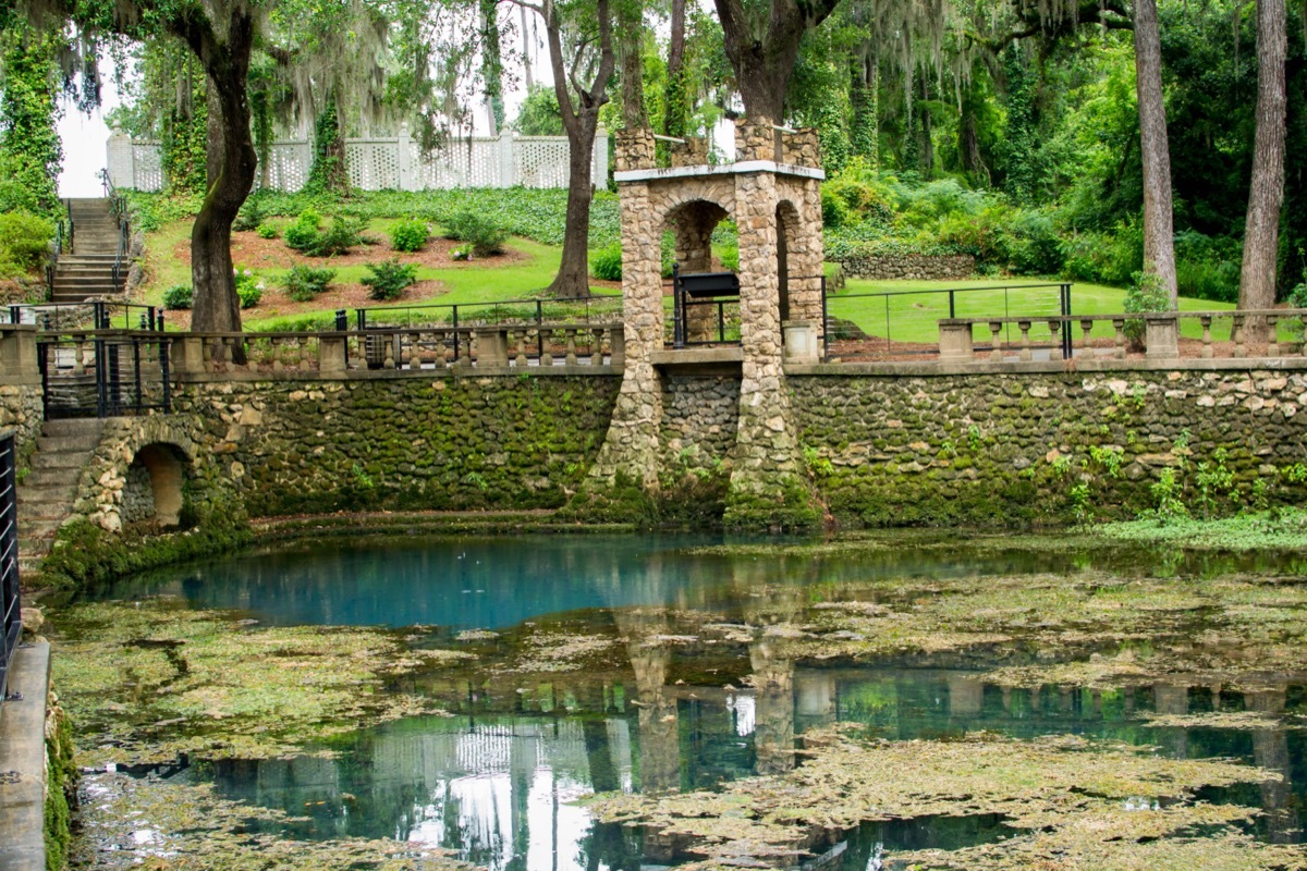 Radium springs in Albany, Georgia