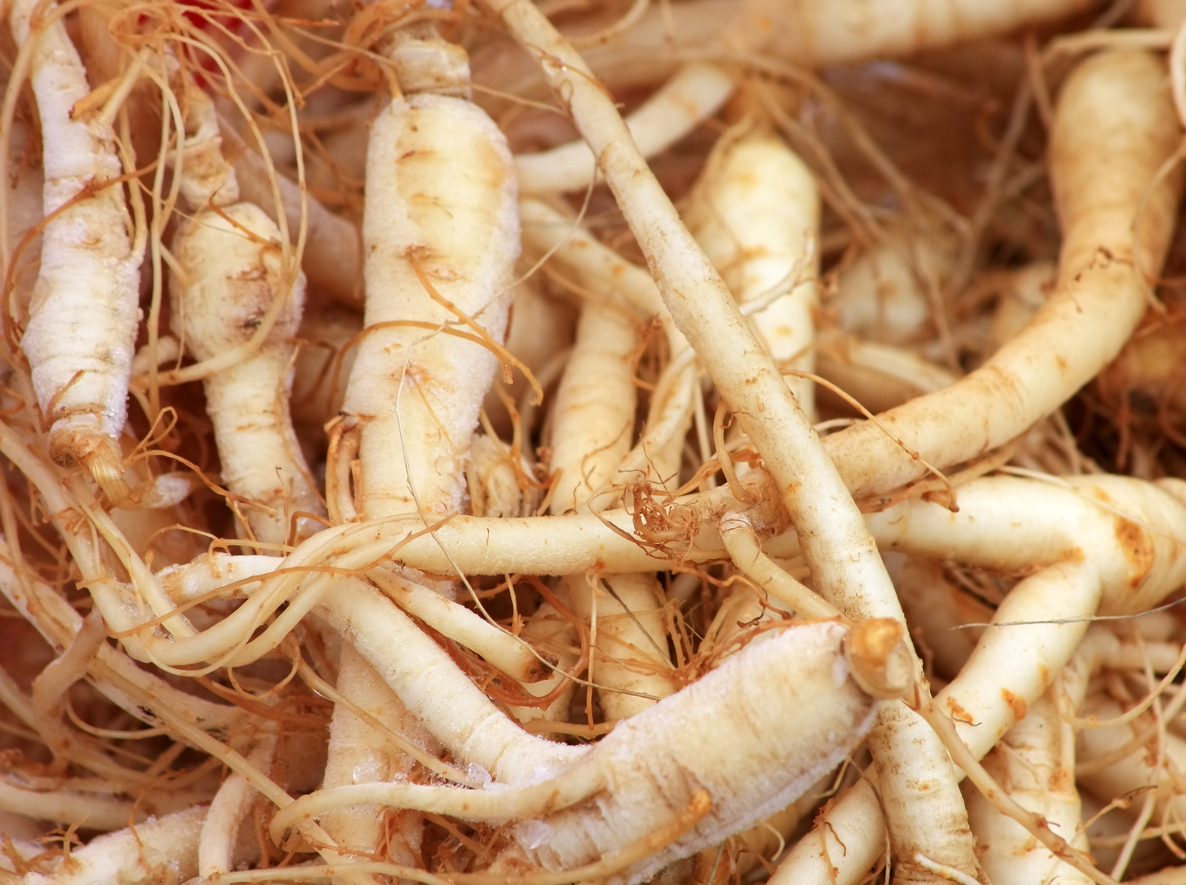 Fresh ginseng roots.