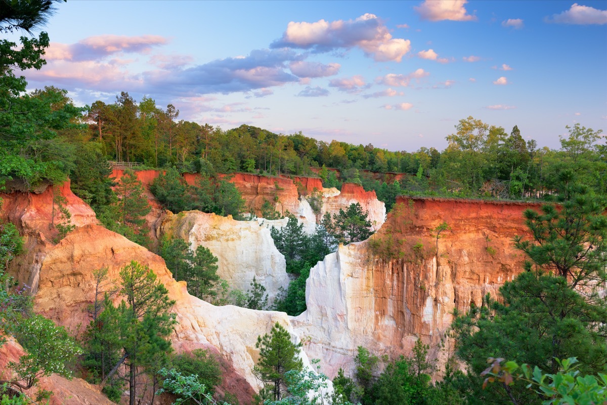 orange and white rocks and green trees at the Providence Canyon in Stewart County, Georgia