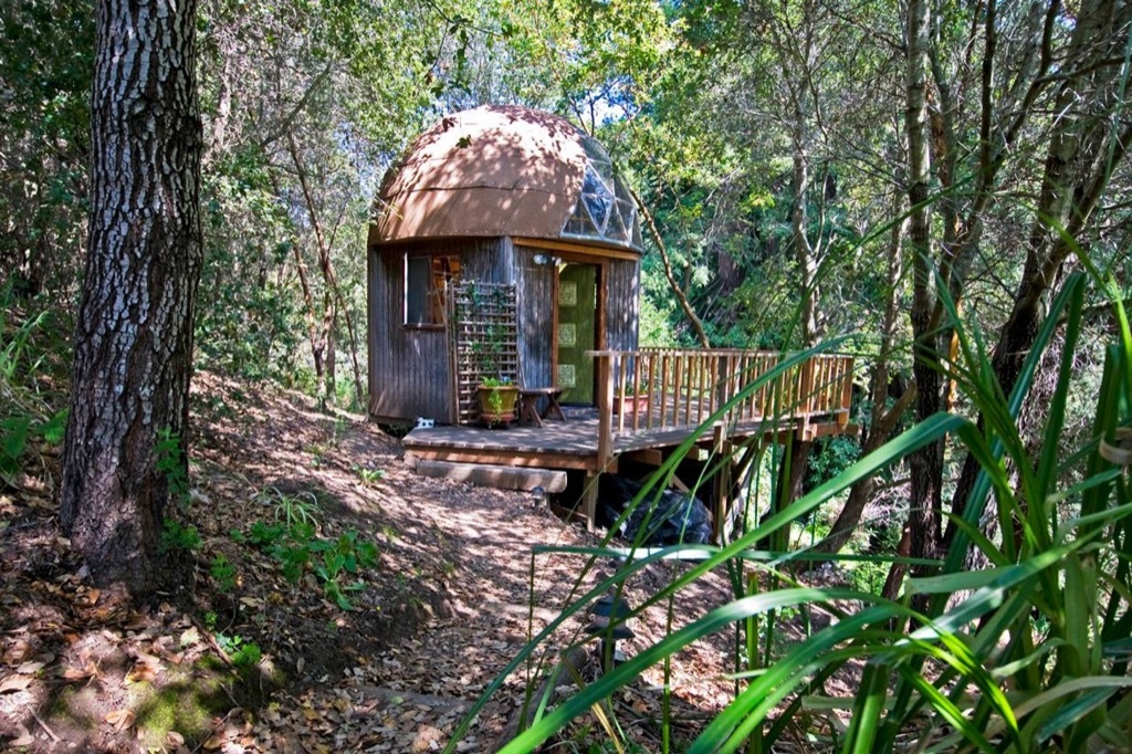 Mushroom Home Aptos, California airbnb