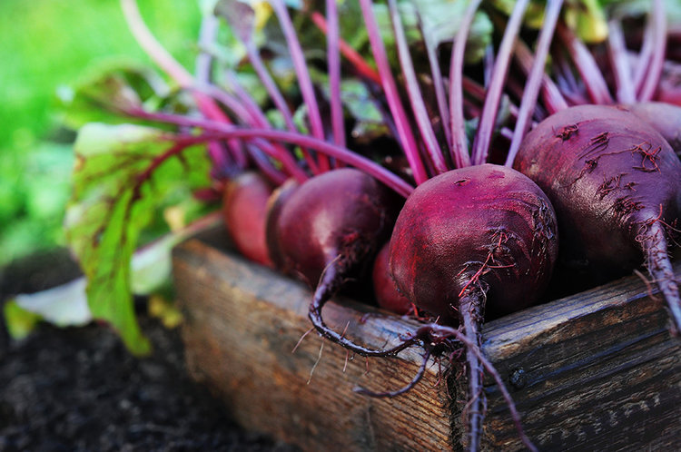 Beetroot | 11 Best Foods To Eat In The Rainy Season | Her Beauty