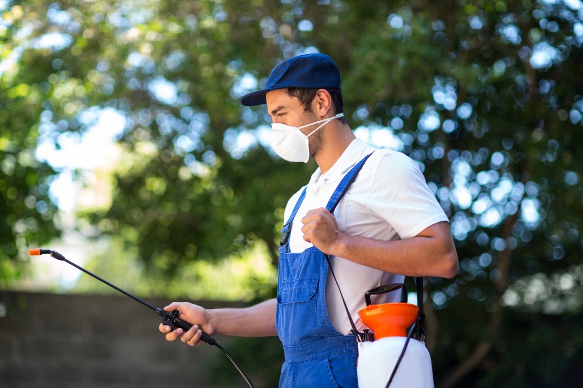 pest control wroker in backyard