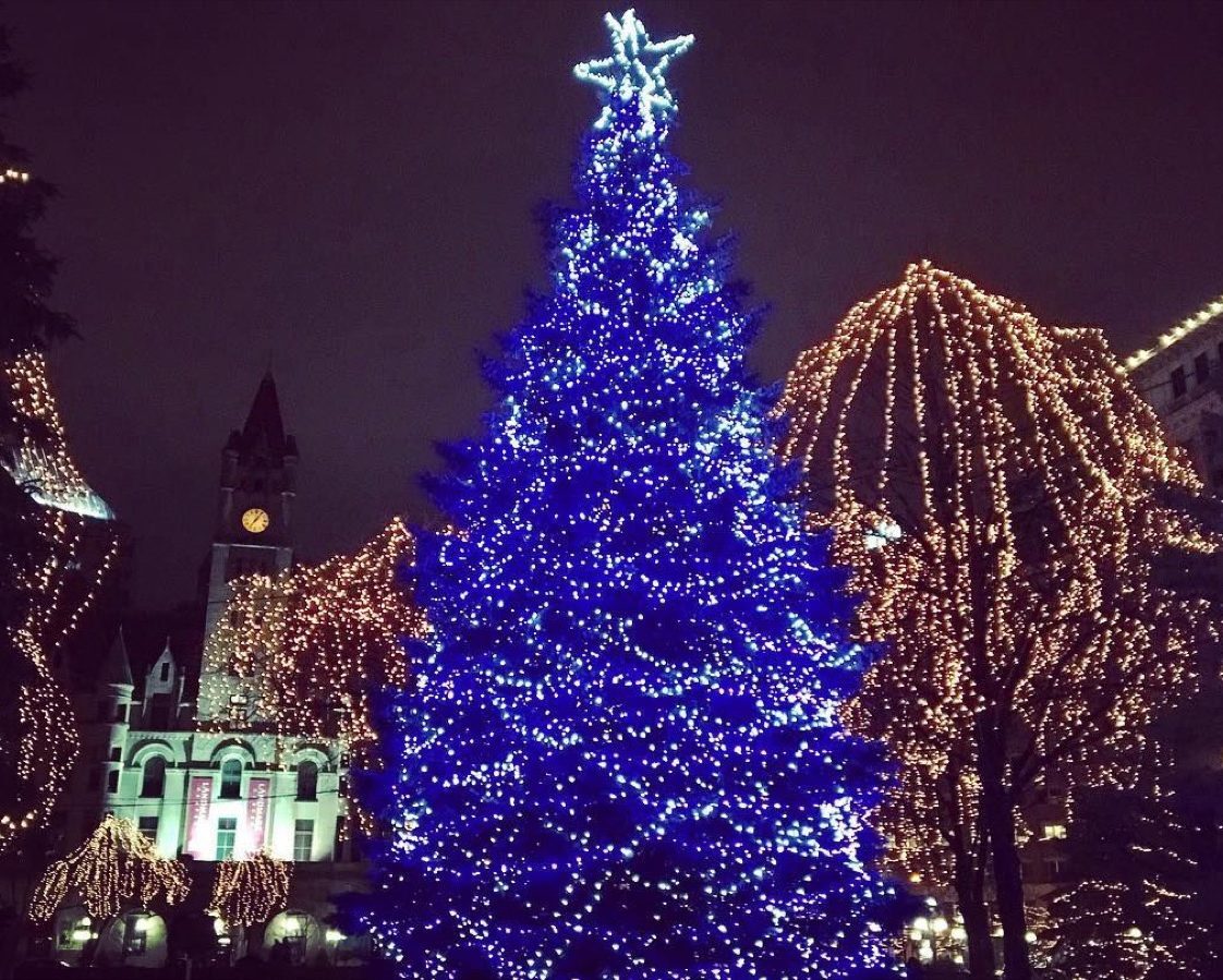 Minneapolis Minnesota Rice Park State Christmas Tree