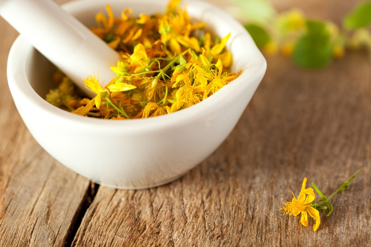 hypericum perforatum, st john's wort