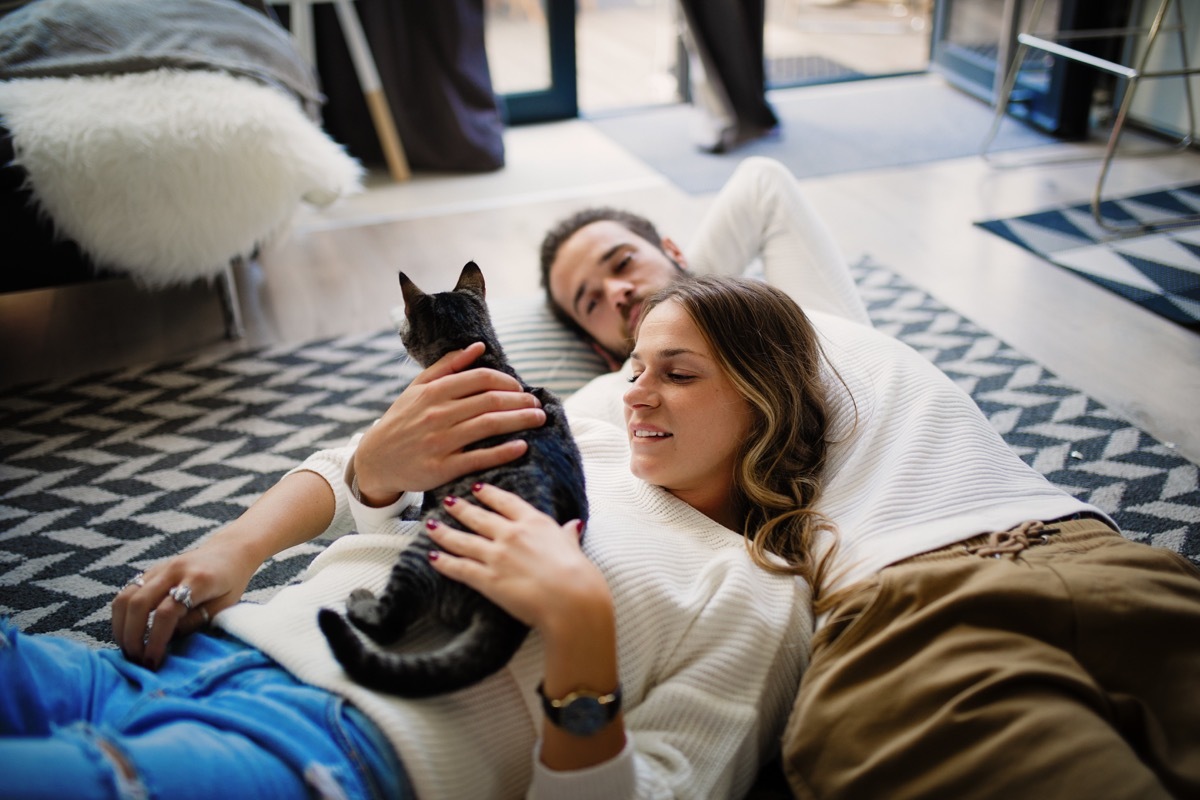 Romantic couple at home share tenderness with cat