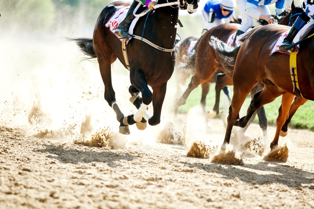 horses racing at a horse race