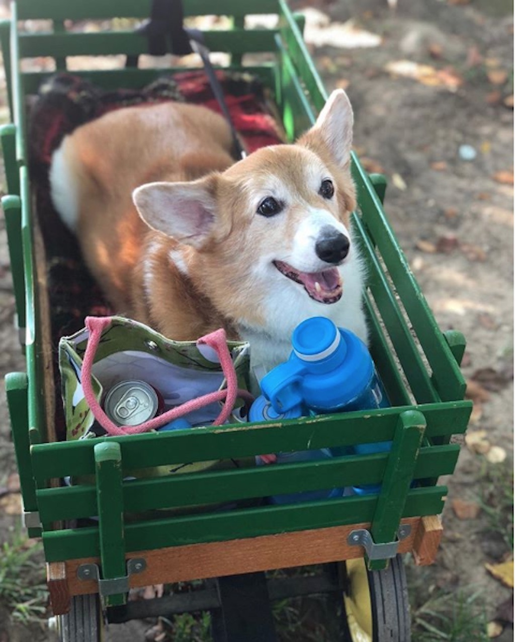 million corg march 