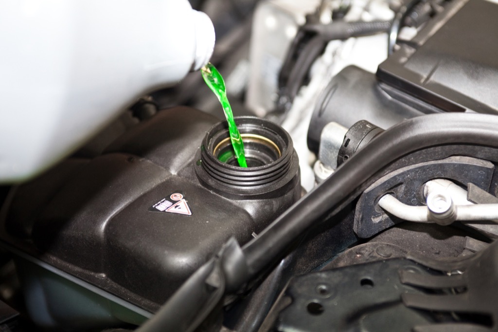 Pouring antifreeze into car