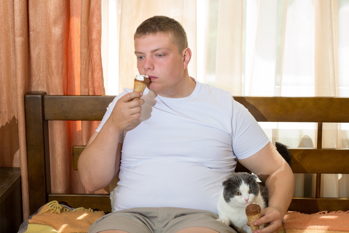 Man and Cat Eating Ice Cream Funny Stock Photos