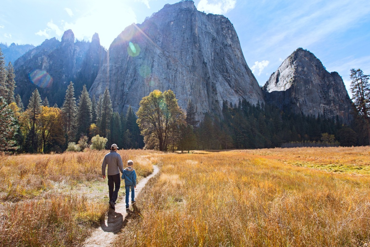 back view of active family of two, father and son, enjoying valley and mountain view in yosemite national park, california, active family vacation concept (back view of active family of two, father and son, enjoying valley and mountain view in yosemite, earth day charities