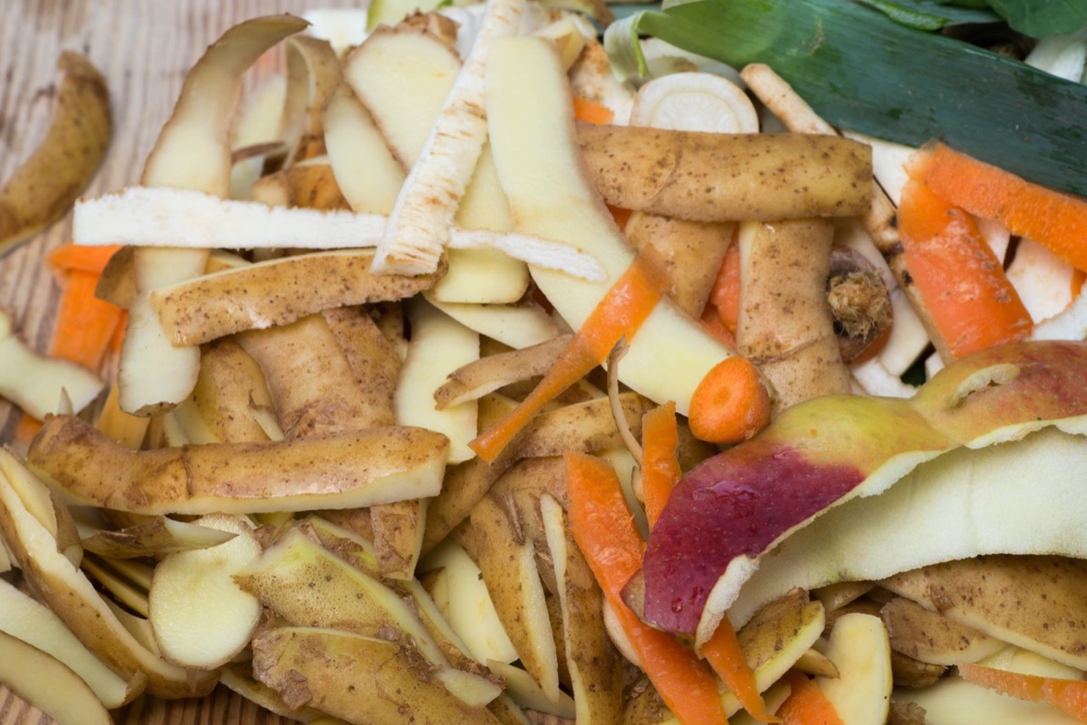 potato peels and vegetable scraps