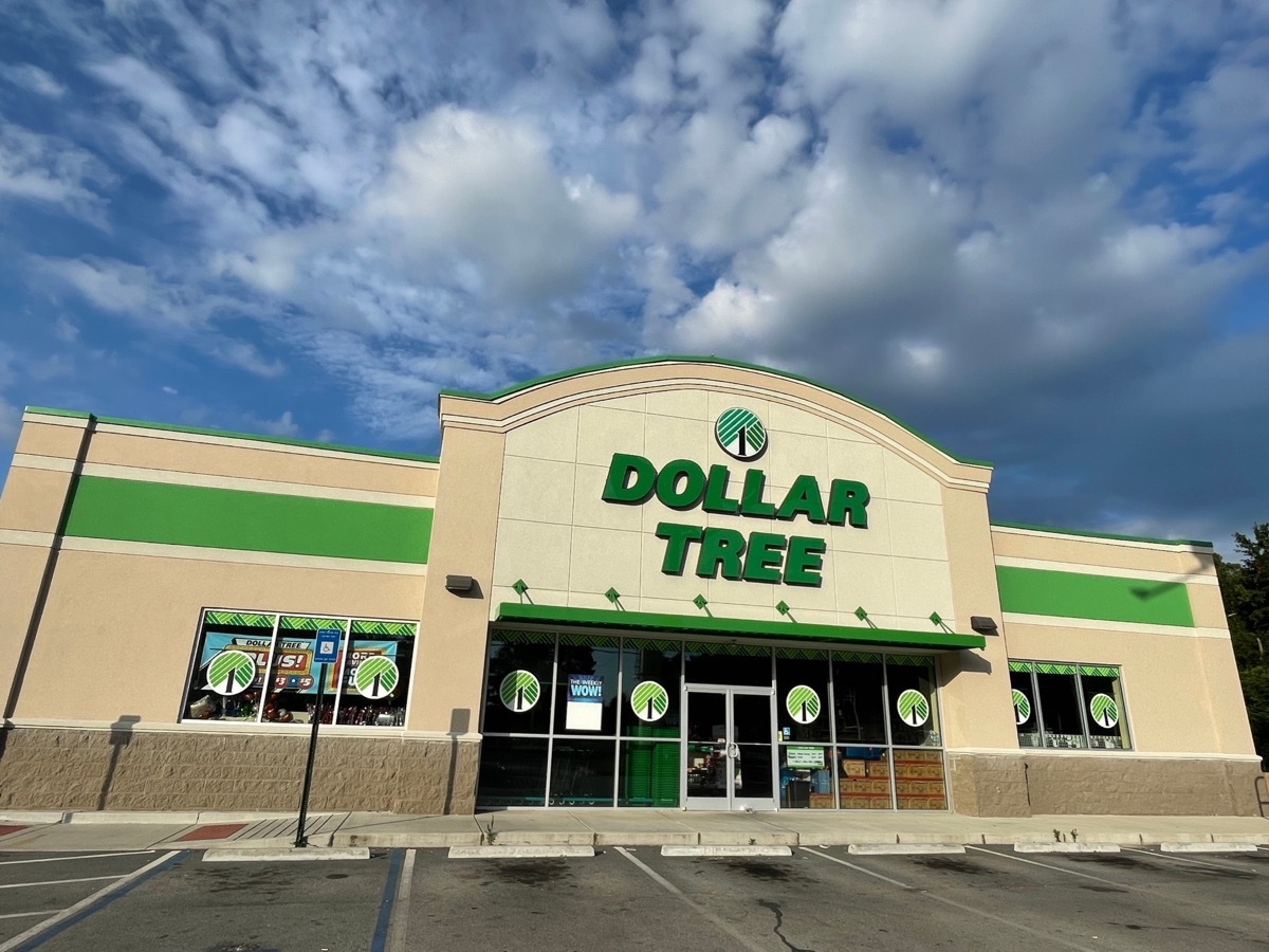 dollar tree store