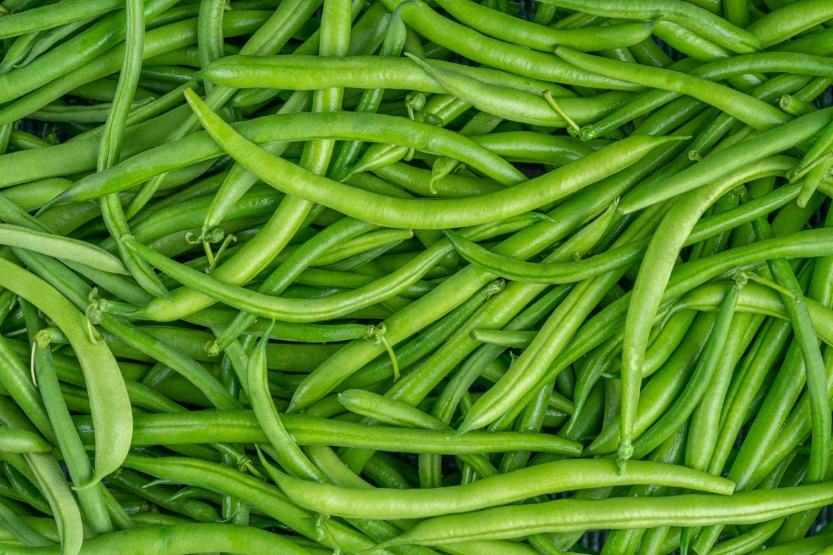 Fresh green bean pods texture. Close up, top view. High quality photo