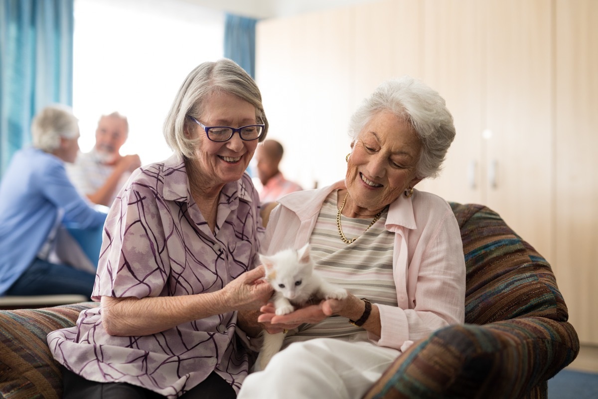 old people hanging out with their cat