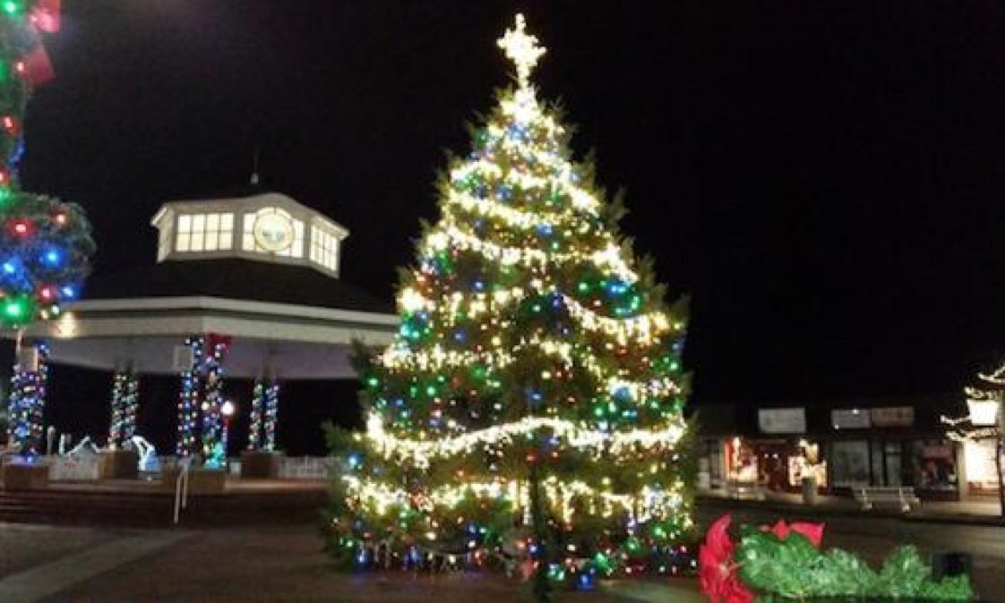 Rehoboth Delaware State Christmas Tree 