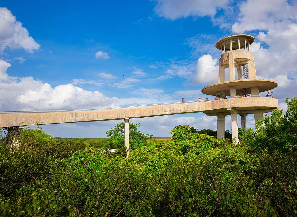 bridge over a marsh