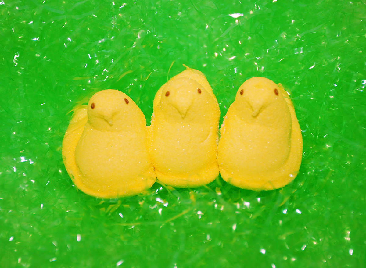 marshmallow peeps chicks