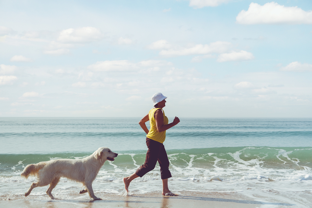 dog running on the beach with his owner