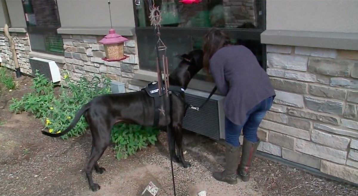 tonka visiting residents at their nursing home