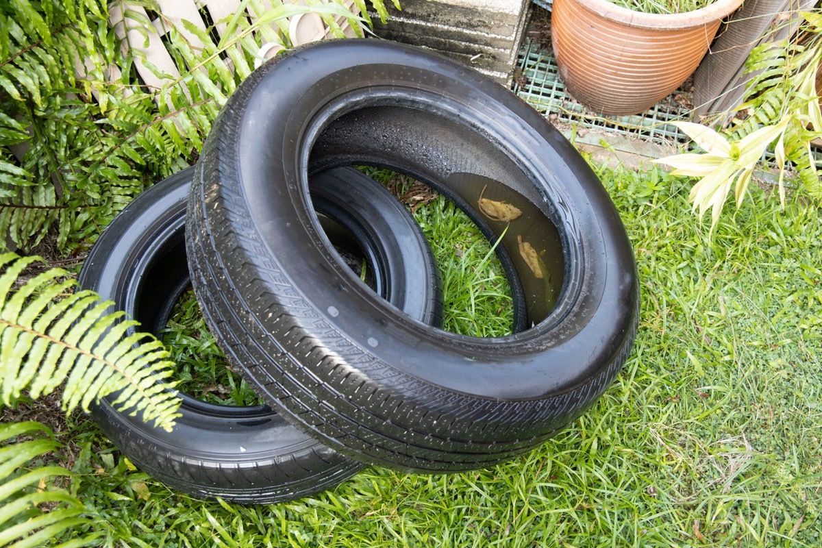 standing water in old tires