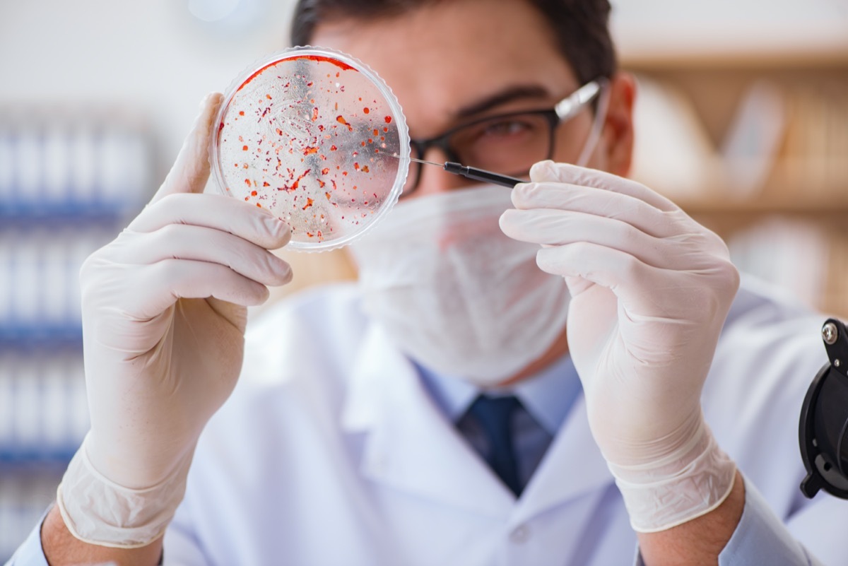 Doctor studying virus bacteria in the lab