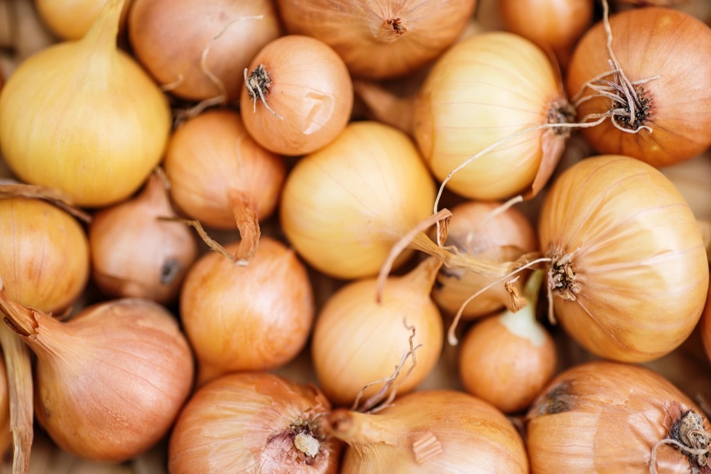 Onions, which are some of the best anti-aging foods for men north of 40. 