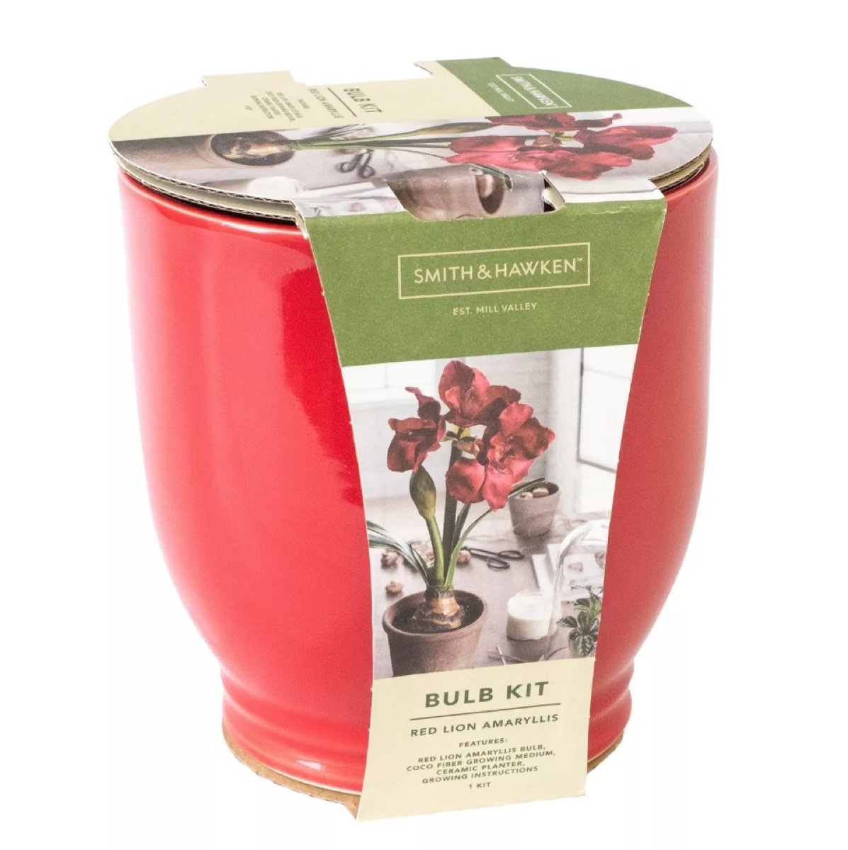 amaryllis growing kit