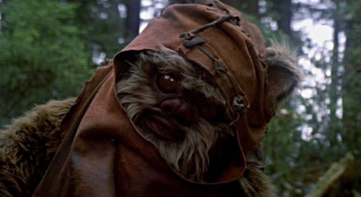 wicket from star wars, star wars jokes