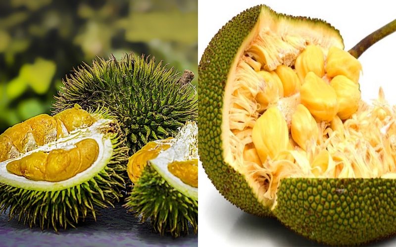 Peeling and cleaning a raw jackfruit  | 9 Facts You Need To Know About The Lip-Smacking Jackfruit | Her Beauty